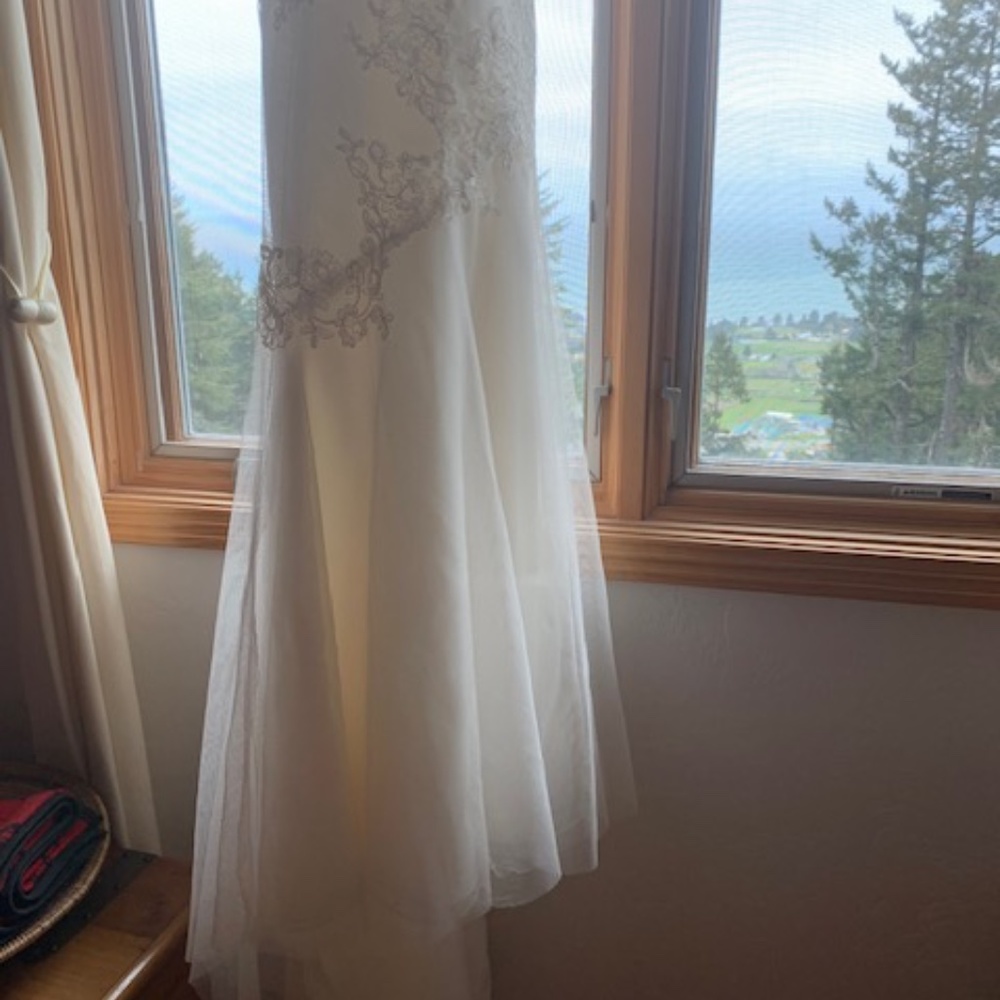Vera Wang Wedding dress - Picture 14 of 16
